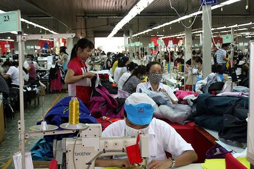 Doanh nghiệp dệt may 'ngấm đòn' Covid-19