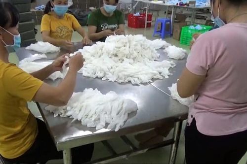 Công ty BM tái chế hàng chục tấn găng tay: Đã trục lợi tiền khủng?