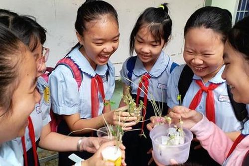 Thái Bình: Giáo viên thường xuyên nắm bắt tình hình sức khỏe học sinh trong hè