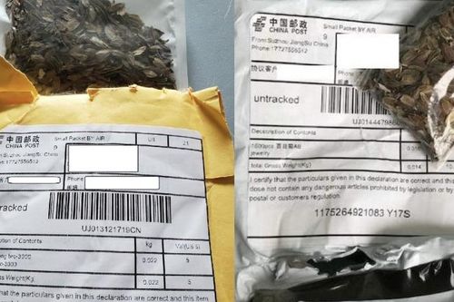Điều gì đằng sau những gói hạt giống bí ẩn gửi tới Mỹ từ Trung Quốc?