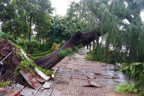 Gần 100 căn nhà tại Cà Mau sập và tốc mái do bão số 2