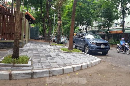 Vụ chủ biệt thự tự ý chặt cây, lát vỉa hè trái phép: Sai phạm vẫn 'chình ình'