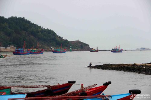 Tàu thuyền Nghệ An nhộn nhịp ra khơi sau bão số 2