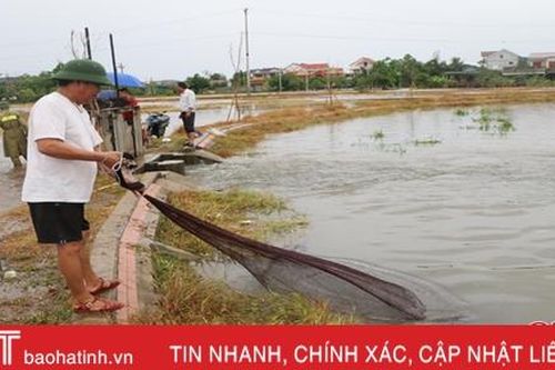 TP Hà Tĩnh cảnh báo tình trạng đánh bắt cá trái quy định sau mưa lớn