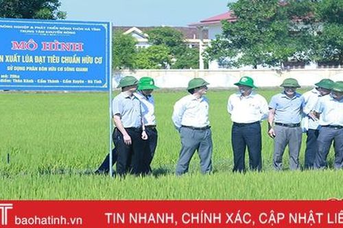 Sản xuất hữu cơ ở Hà Tĩnh: Lấy chất lượng để 'chiều lòng' thị trường!