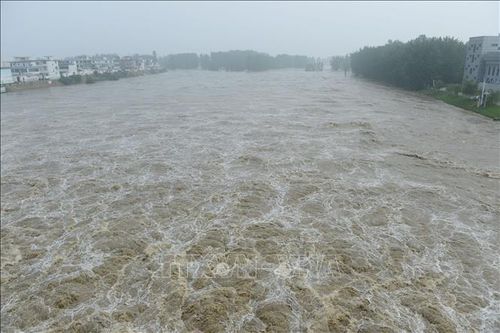 Miền Đông Trung Quốc ứng phó với bão Hagupit
