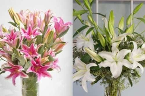 Mẹo xử lý hoa nở sớm 'cực đỉnh', chơi cả tuần không thối, không hỏng, thơm ngát khắp nhà