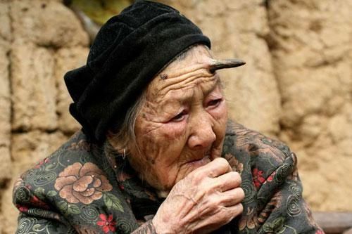 Top 5 sinh vật tưởng chỉ có trong truyền thuyết hóa ra lại tồn tại ngoài đời thật