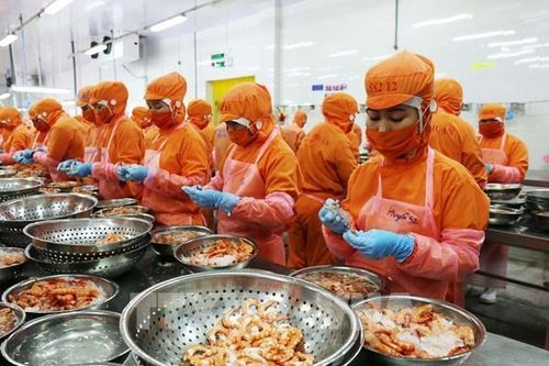 WB: Hiệp định EVFTA – Động lực giúp giảm nghèo bền vững