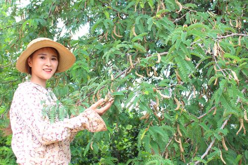 Nguyễn Thị Phi Giao: Nữ giáo viên '2 giỏi'