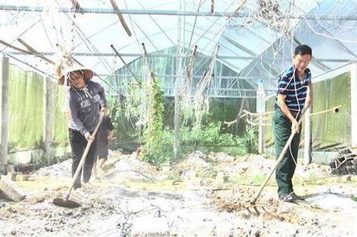 Vĩnh Linh: Tín chấp trên 90 tỉ đồng cho hội viên cựu chiến binh vay vốn phát triển sản xuất