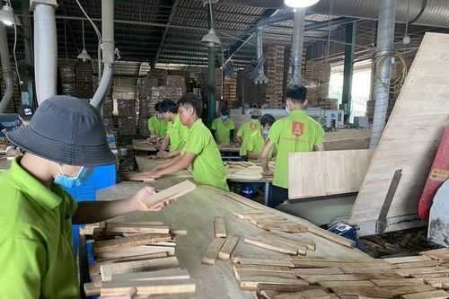 Bộ trưởng Tài chính chỉ đạo thành lập đoàn công tác kiểm tra việc áp mã HS với mặt hàng gỗ cao su xuất khẩu dạng tấm