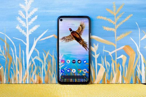 Google ra mắt Pixel 5 sản xuất tại Việt Nam