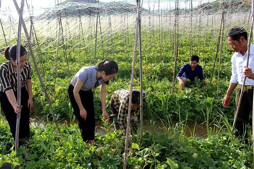 Gia Viễn đổi mới phong cách lãnh đạo, sâu sát cơ sở
