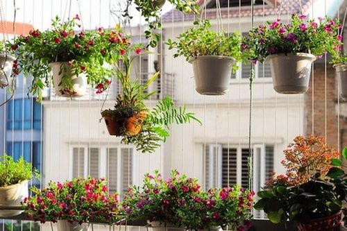 Ban công đặt 4 vật tán lộc: Gia chủ càng ngày càng khánh kiệt, tiền tài đội nón ra đi