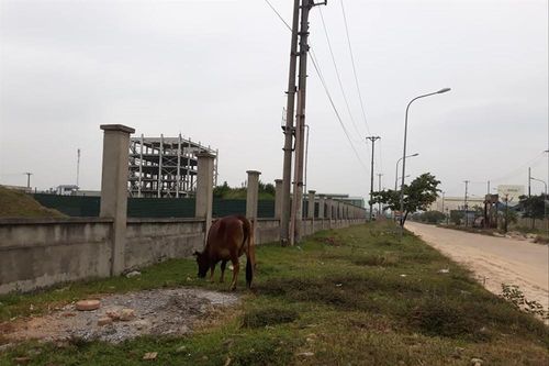 Lời giải nào cho khu công nghiệp: Vẽ cho nhiều... để bỏ hoang