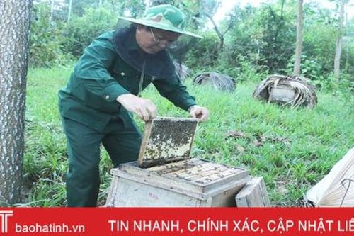Người dân miền núi Hà Tĩnh phấn khởi vì mật ong được giá