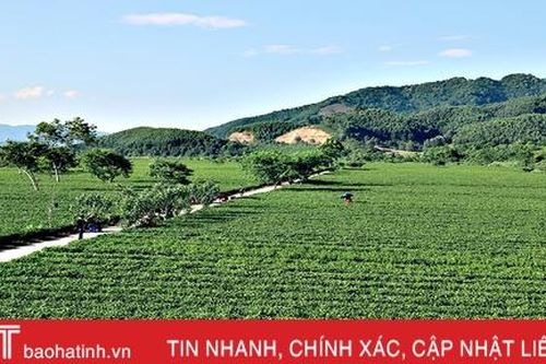 Hương Sơn tạo 'cú hích' phát triển thương mại, dịch vụ và du lịch