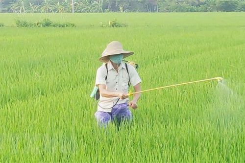 Hai nhóm giải pháp đảm bảo cung ứng đủ lương thực, thực phẩm