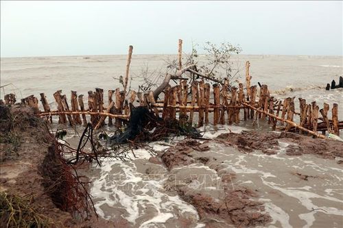 700m đê biển Tây bị sạt lở nghiêm trọng