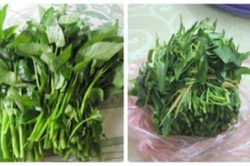 Cách nhận biết nhanh rau muống 'tắm' hóa chất