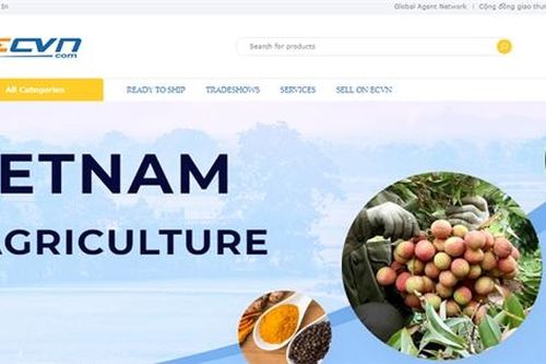 Nền tảng xuất khẩu đầu tiên cho hàng Việt Nam