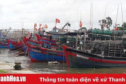 Chủ động trước 'nguy cơ kép'