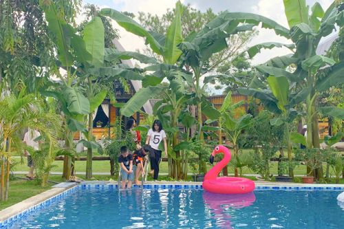 Không đi du lịch để phòng ngừa 'Cô Vi'