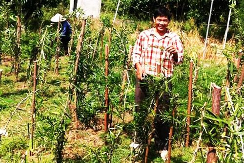 Bảo tồn xáo tam phân