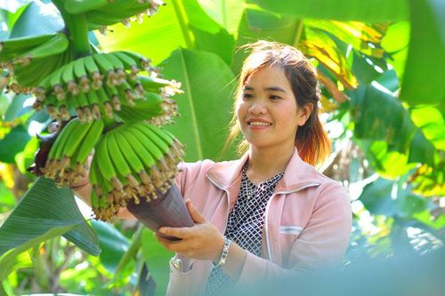 Đi tìm lời giải cho đất