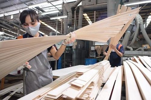 Hải quan: Không có việc gỗ ván ghép ùn ứ tại cảng vì bị áp thuế 25%
