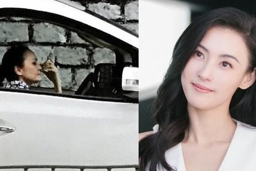 Mẹ Trương Bá Chi lái taxi mưu sinh