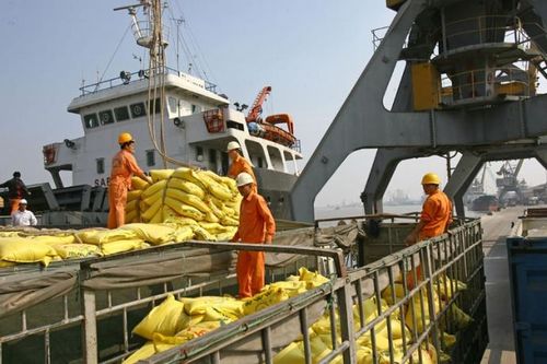 Giá dịch vụ cảng biển quá thấp, DN Việt Nam chịu nhiều thiệt thòi