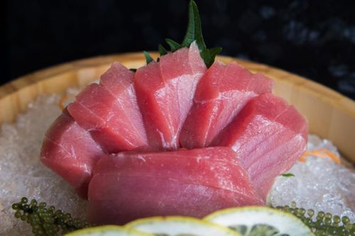 Sự thật tàn khốc sau miếng sushi cá ngừ siêu đắt đỏ