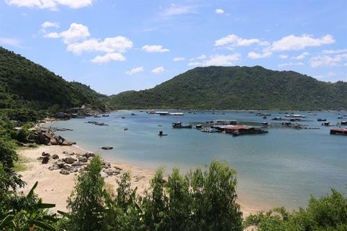 'Tìm kiếm ý tưởng sáng tạo vì 1 đại dương không nhựa'