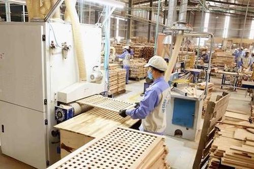Tạm thời doanh nghiệp xuất khẩu gỗ cao su dạng tấm sẽ được áp mức thuế 0%