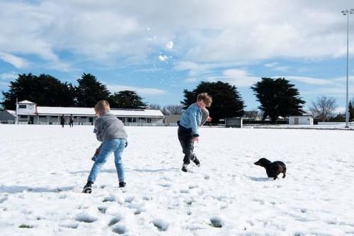 Khung cảnh hòn đảo thiên đường Tasmania khi bị tuyết phủ dày đặc