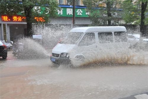 Trung Quốc: Bão Hagupit gây mưa lớn và ngập lụt tại Thượng Hải