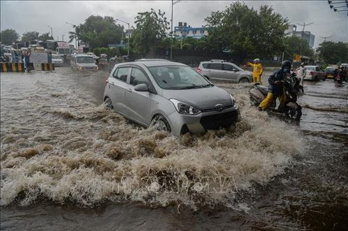 Mưa bão gây nhiều thiệt hại tại Mỹ, Ấn Độ và Thái Lan
