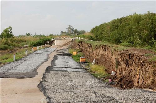 Đê biển Tây xuất hiện nhiều đoạn sạt lở nghiêm trọng