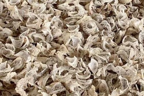 Yến ngoại kém chất lượng 'đội lốt' hàng Việt tuồn vào thị trường, kéo giá yến sào Việt Nam rớt thê thảm