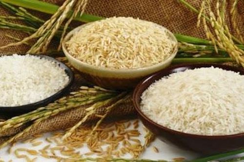 Giá lúa gạo ngày 05/08: Giá gạo xuất khẩu tiếp đà tăng, vượt Thái Lan