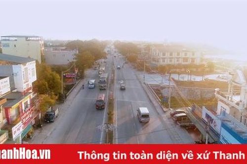 Tạm dừng tổ chức Lễ công bố thành lập thị xã Nghi Sơn để phòng, chống dịch bệnh COVID-19