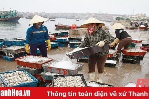 Xã Nghi Sơn phát triển thương mại - dịch vụ