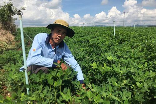 Liên kết nông dân vì mục tiêu vươn lên