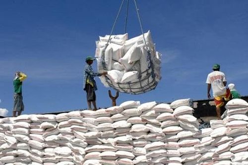 80.000 tấn gạo sang EU: Không chủ động chào hàng, doanh nghiệp sẽ đánh mất cơ hội