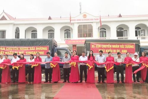 Hải Dương thu hoạch 250 tấn nhãn để xuất khẩu