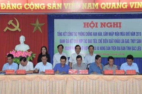 Quyết liệt hỗ trợ các doanh nghiệp ở Bạc Liêu liên kết với nông dân trong bao tiêu sản phẩm