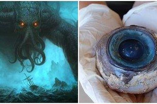 Đôi mắt quái vật bí ẩn rơi trên bờ biển khiến người yếu vía chết khiếp