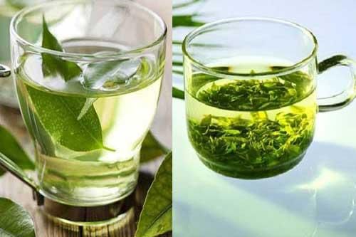 Uống nước chè mỗi ngày giúp giảm cân, ngăn ngừa ung thư